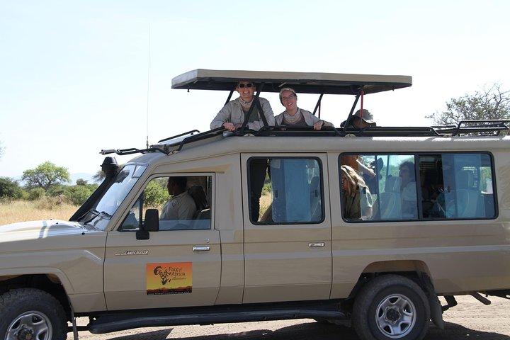 Fire dages spil kører Safari Tarangire, Serengeti og Ngorongoro Crater