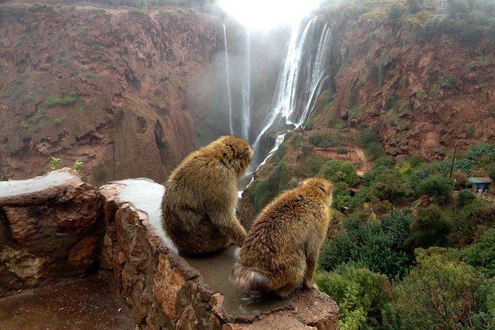 Excursion d'une journée à Marrakech aux cascades d'Ouzoud