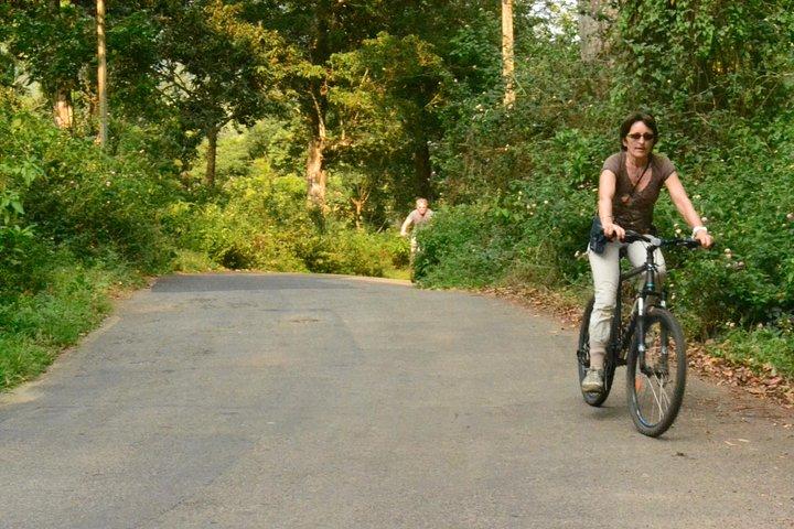Kerala Cycle, Trek & Houseboat Tour