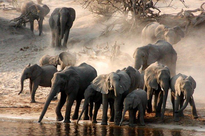 Full-Day Trip naar Tarangire National Park