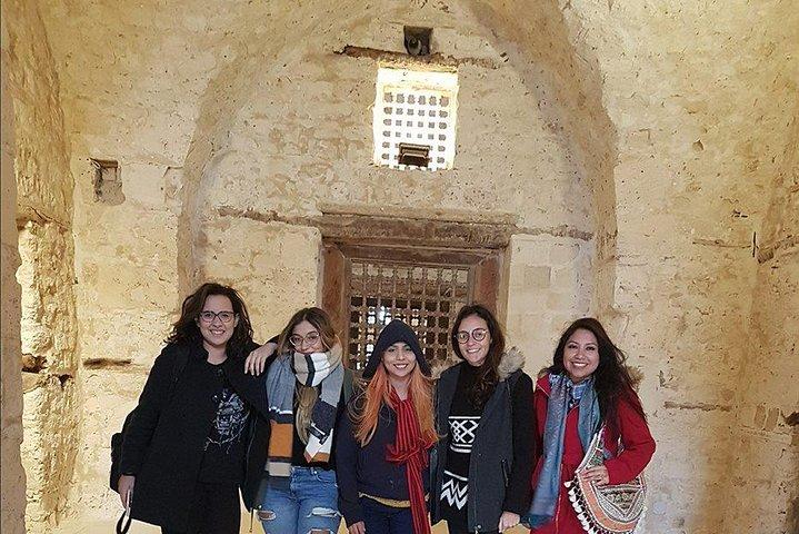 Alexandria Library & Pompeii's Pillar Montazah Palace Citadel van Qaitbay