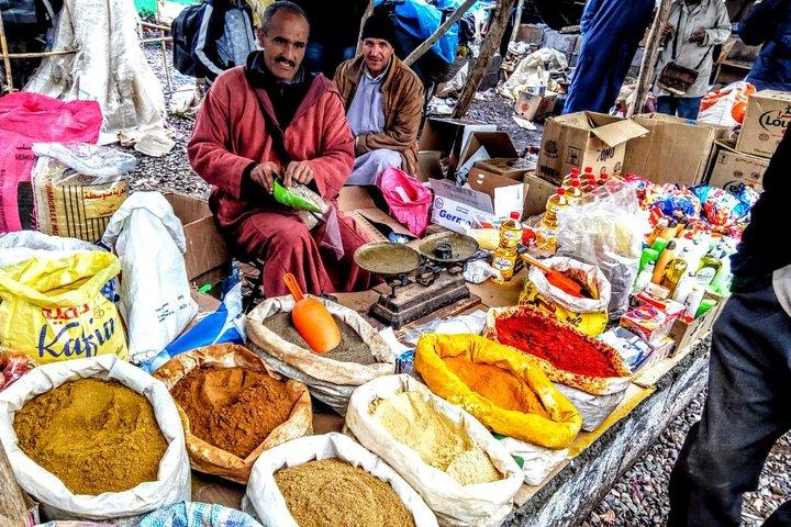 Escape to the Agafay Desert on a day trip from Marrakesh to Atlas