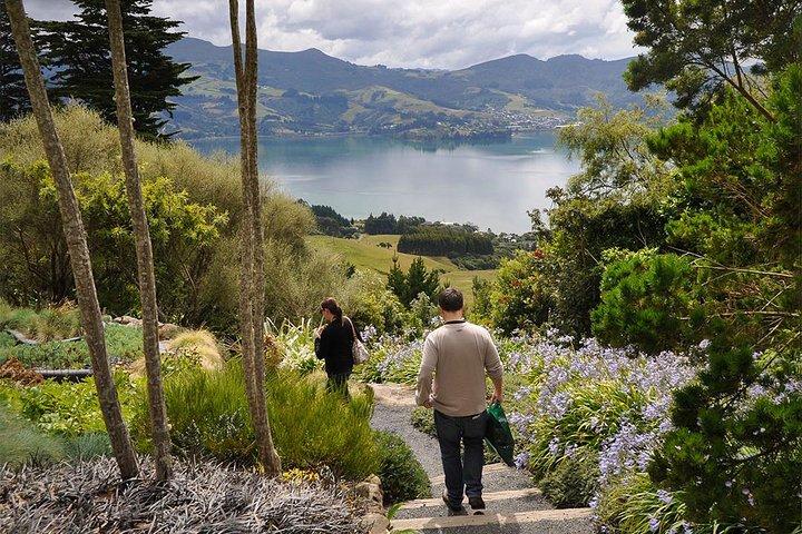 Excursion emblématique sur le rivage : visite emblématique du château de Larnach