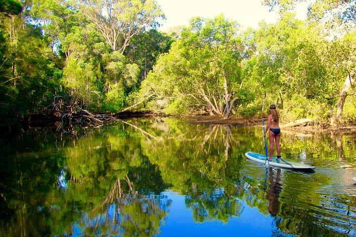 Byron Stand Up Paddle Nature Tour