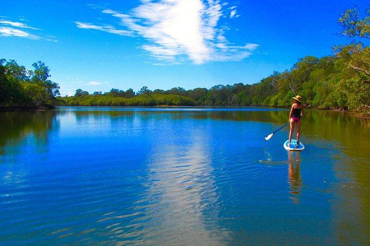 Byron Stand Up Paddle Nature Tour