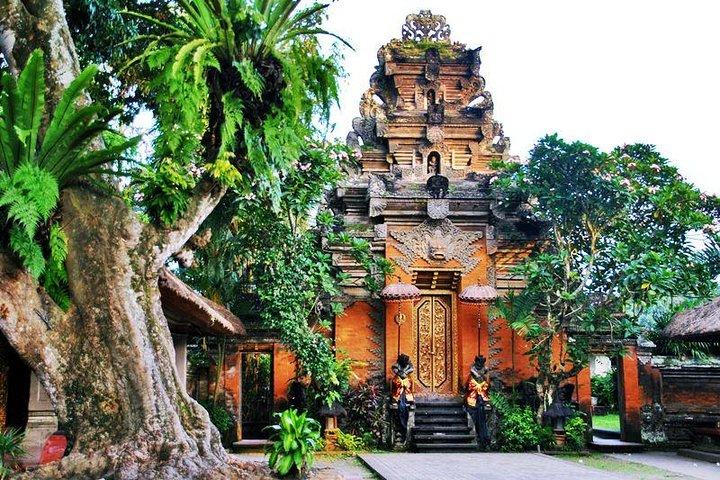 Bali Swing Experience und Ubud Tour