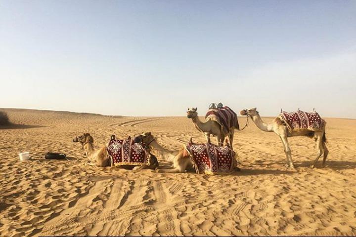 Dubaï Desert Safari Experience