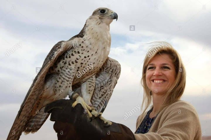 Red Dunes Desert Safari Dubai with Premium Camp & Shows