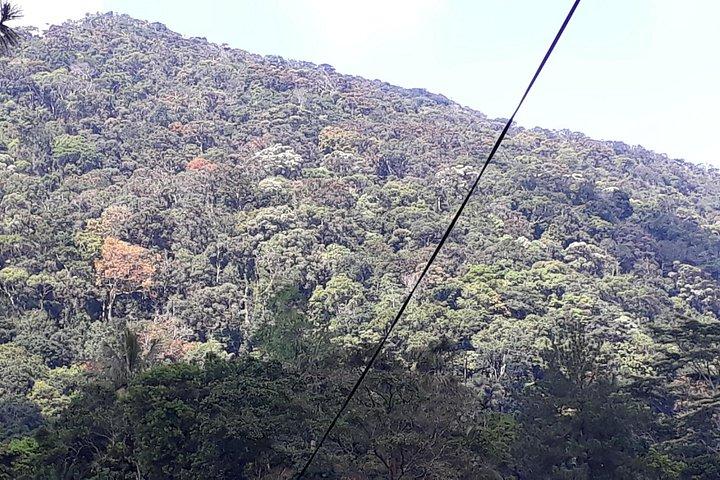 Nuwara Eliyaデイツアー