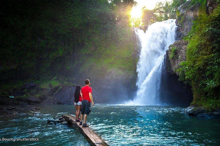 ウブド村とテグヌンガンの水田へのサイクリング