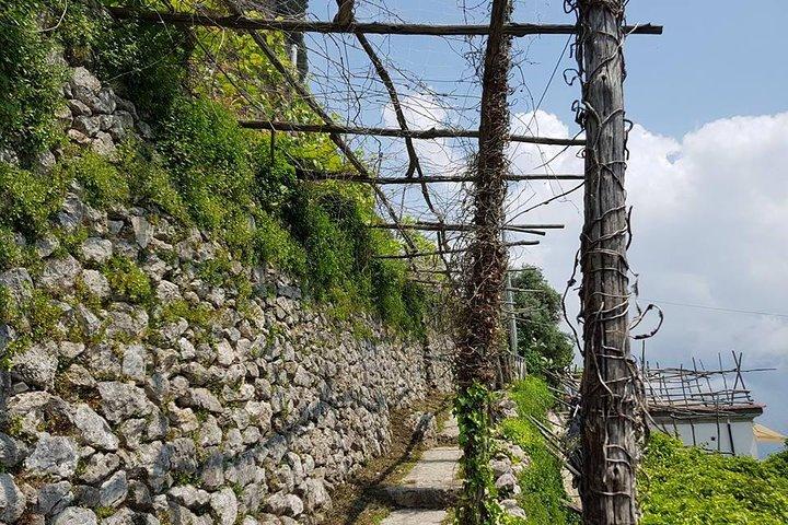 Private Wanderung von Ravello nach Amalfi nach Escher
