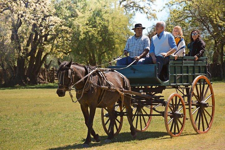 Estancia Gaucho-dagen i Buenos Aires