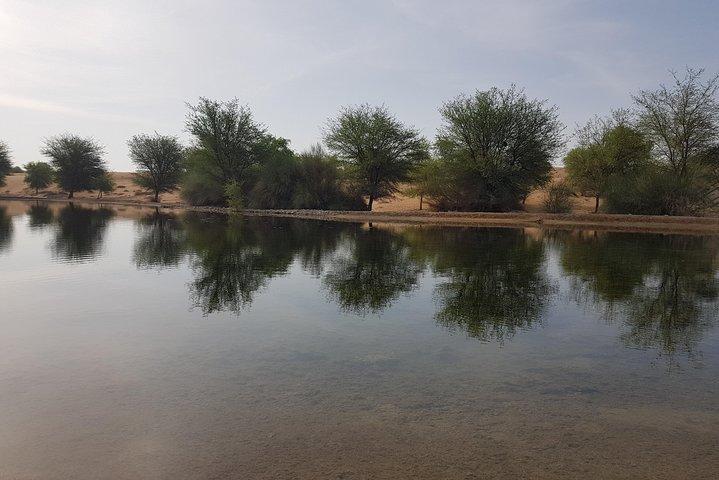 Dubai: Camel Safari, Wildlife & Lakeside Breakfast