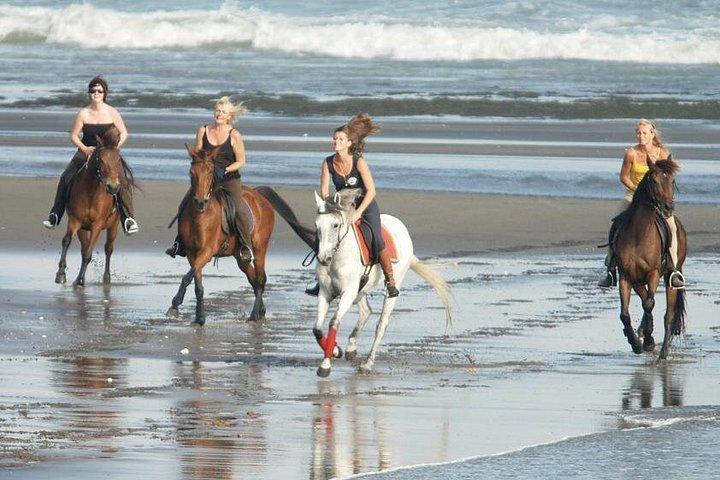 Horse Riding With Sunrise View Of Black Sand Beach