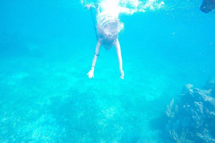 Snorkel、ATV、Zipline、Cenote Adventure from Cancun