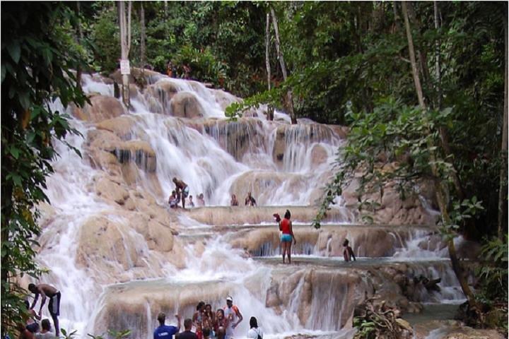 Viagem de meio dia de Montego Bay a Dunn's River Falls