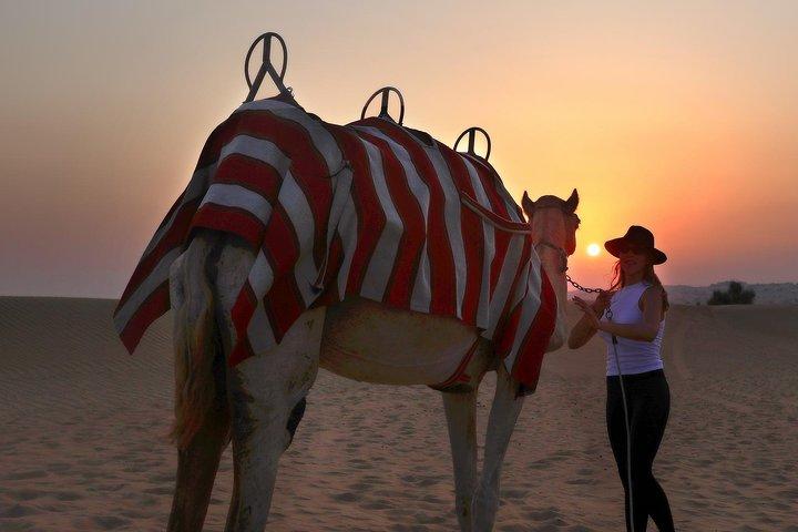 Dubai Sunset Camel Trekking con cena de barbacoa en el campamento VIP