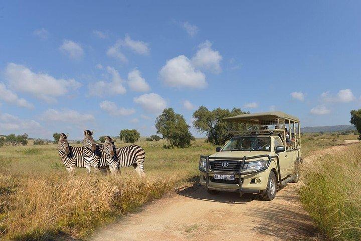 Lesedi Cultural Village e Lion Park Day Tour da Johannesburg