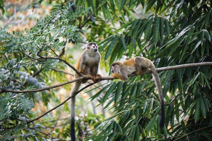 Parque Nacional Manuel Antonio de San José