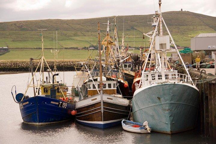 Dagtour naar het Dingle Peninsula vanuit Limerick : De Wild Atlantic Way