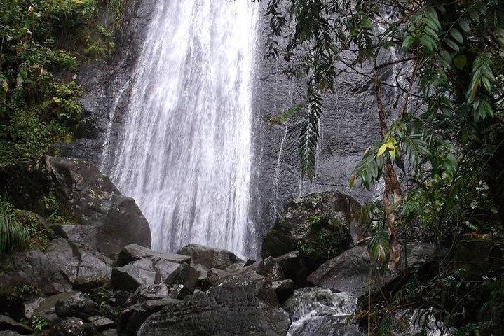 Halvdags El Yunque National Forest Tour från San Juan