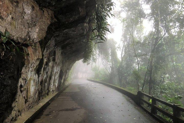 Rio de Janeiro: Jeep Tour til Tijuca Forest