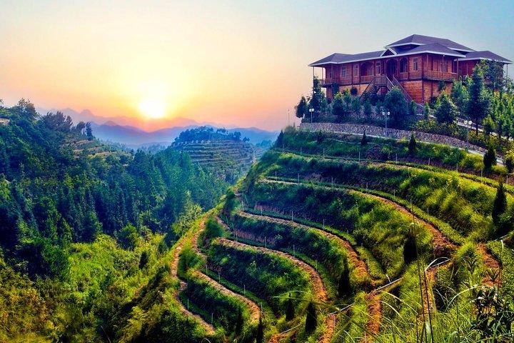 Excursion d'une journée: Anxi Tea Garden et Hongen Rock de Xiamen