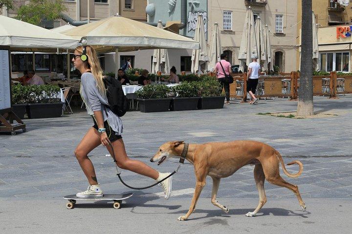 Barcelona: Privat & Custom Walking Tour med en lokal (8 - timer)