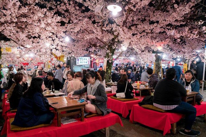 Privates und einzigartiges Kyoto-Kirschblüten-„Sakura“-Erlebnis