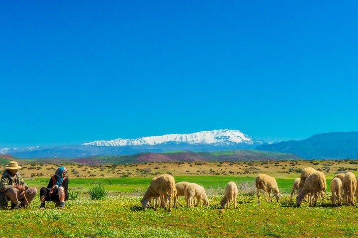 マラケシュのアトラス山脈でのベルベル人の生活体験