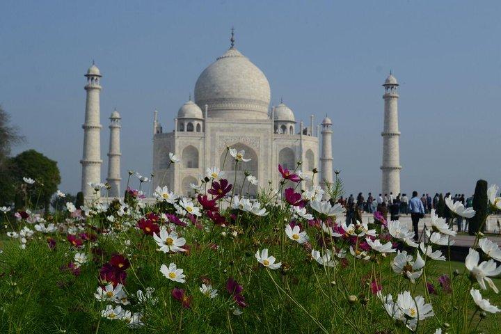 Delhi para Agra e Taj Mahal Excursão privada de um dia de trem expresso com almoço