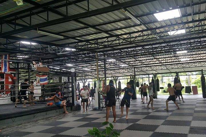 Chiang Mai Muay Thai Boxing Experiência