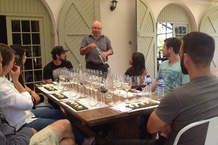Excursão VINHO diária diferente para pequenos grupos - STELENBOSCH PICKUP apenas