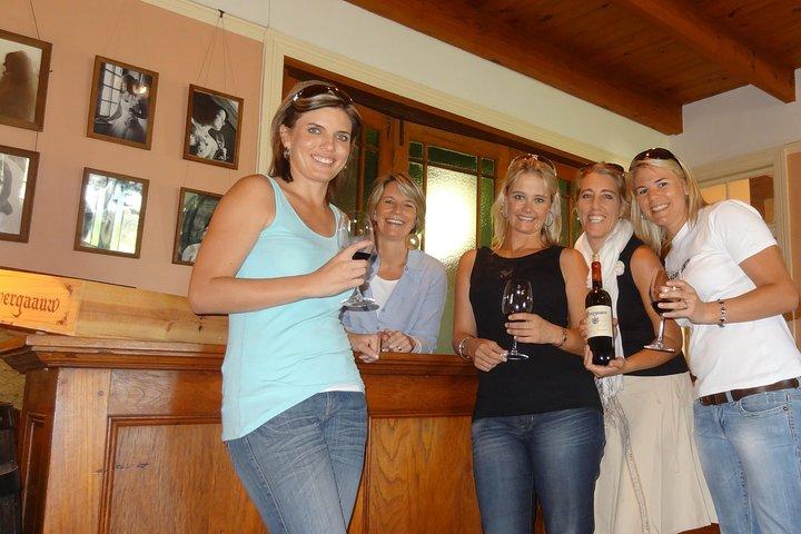 Excursão VINHO diária diferente para pequenos grupos - STELENBOSCH PICKUP apenas