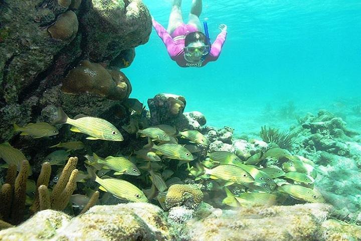 Aventure maya de Cancun