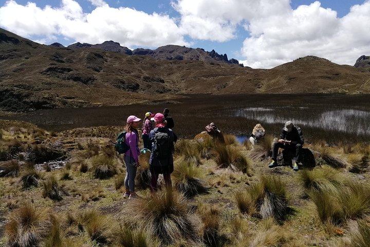Fantastisk Cajas National Park Tour fra Cuenca