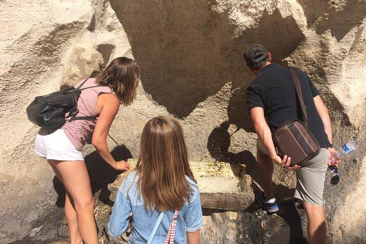 Visita guidata a piedi di Roma By Night: Fontana di Trevi e altri punti salienti