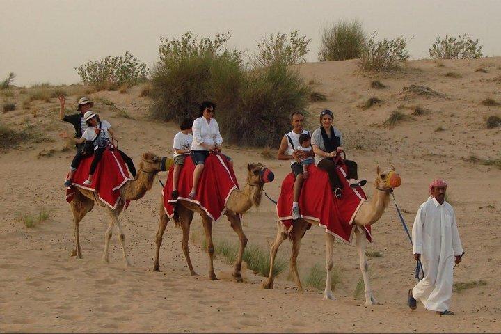 Evening Desert Safari Abu Dhabi with Dinner