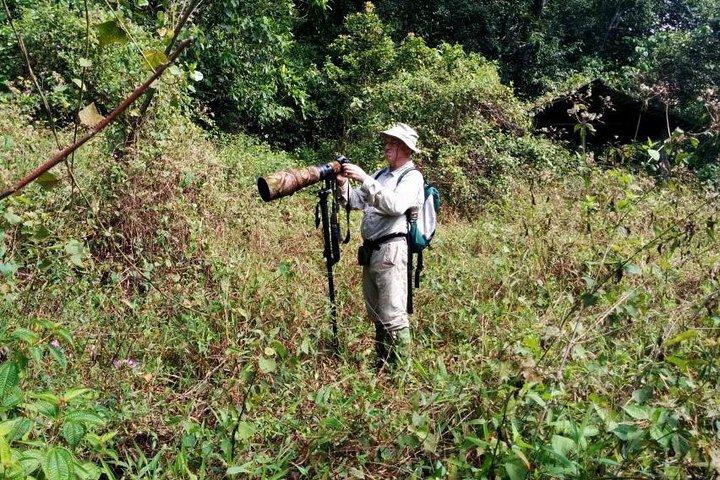 Vogelobservatie boswandeling in Kitulgala