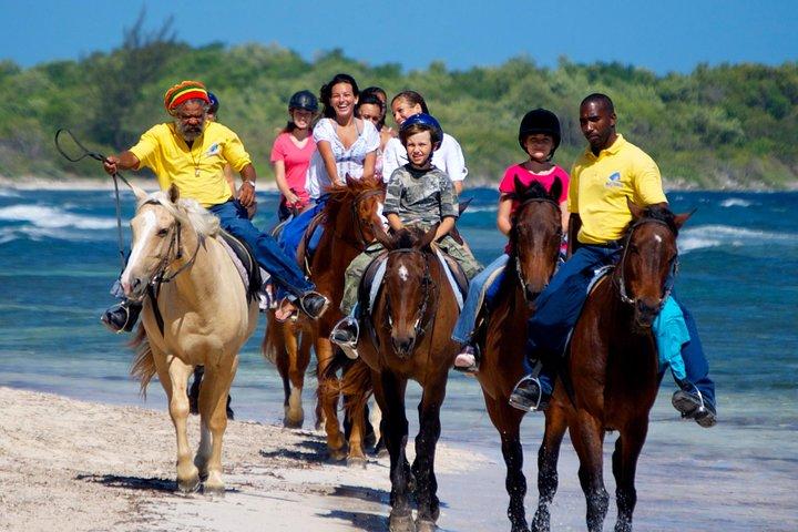 Paardrijdtocht n Zwem en Green Grotto Adventure Tour vanuit Falmouth