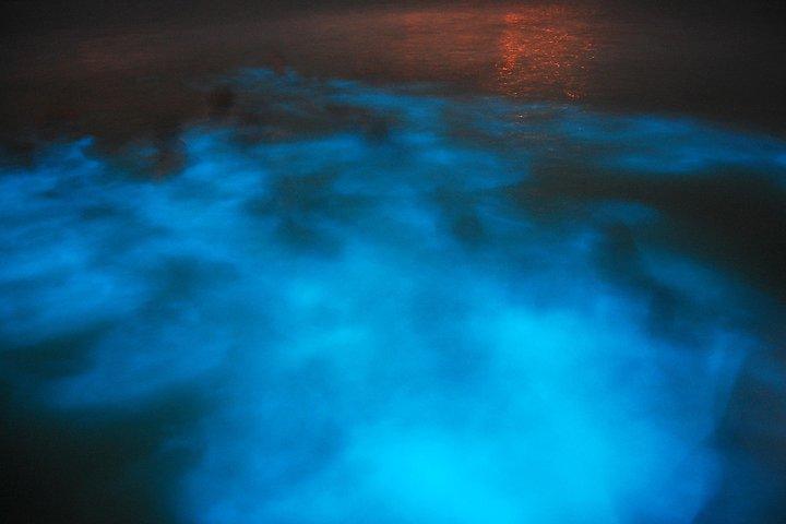 Luminous Lagoon en Rose Hall Haunted Night Tour vanuit Runaway Bay