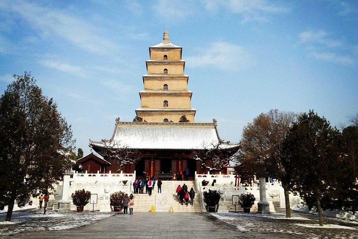 Xi'an Classic Eintägige private Stadtrundfahrt