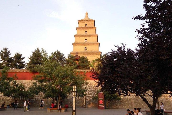 Private Tagestour der Stadt Xian Überblick