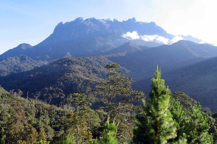 Kinabalu Park & ​​Poring Hot Spring Tour