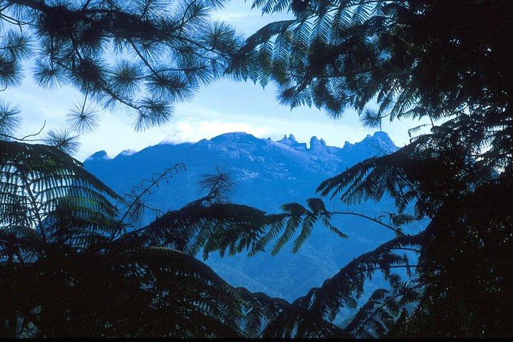 Kinabalu Park & ​​Poring Hot Spring Tour