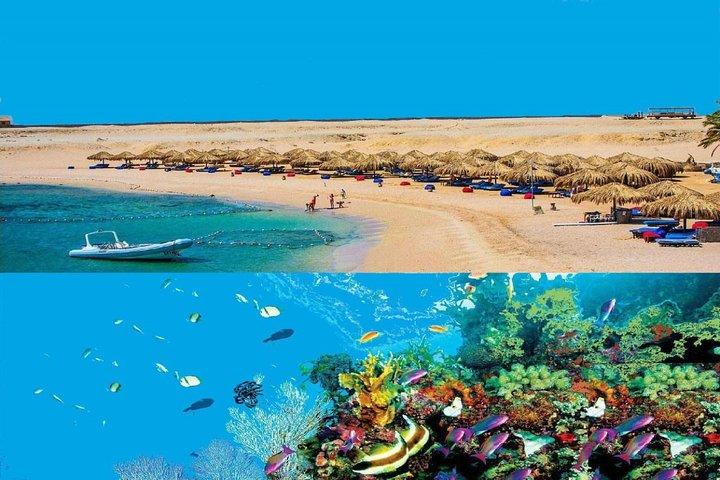 Dags dykning från Marsaalam