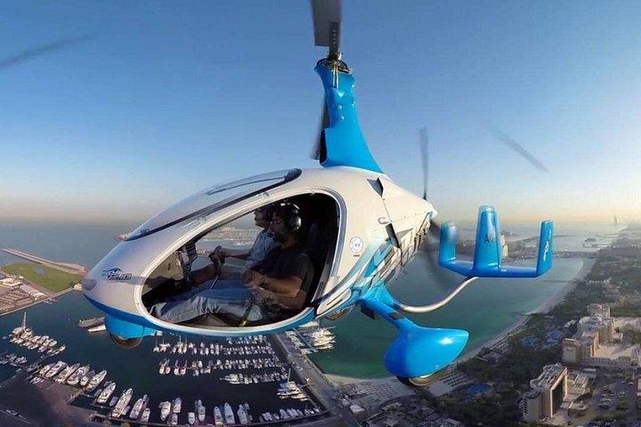 Gyrocopter The Palm
