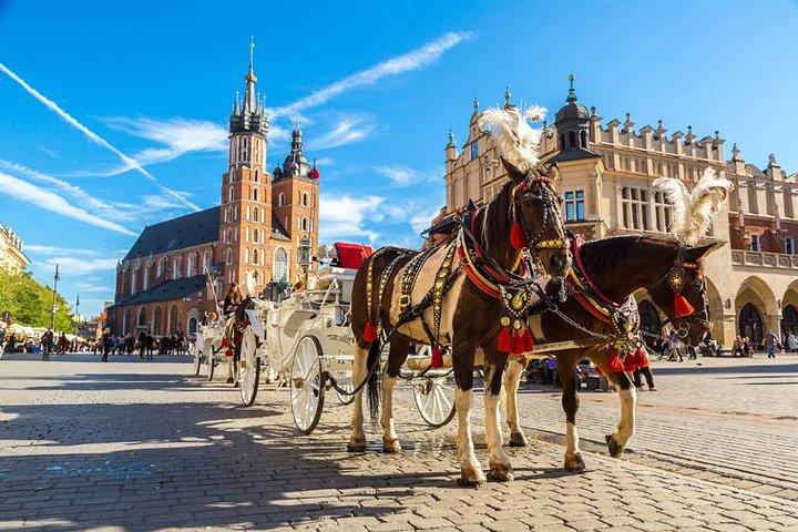 Privé, unieke stadstour door Krakau vanuit Warschau per sneltrein met ophalen