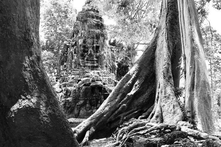 Angkor Wat & Banteay Srei 1-Day Tour