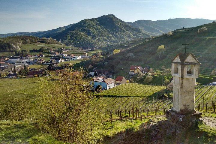 3-stündige private Wandertour zu historischen Orten rund um Spitz im Wachau-Tal